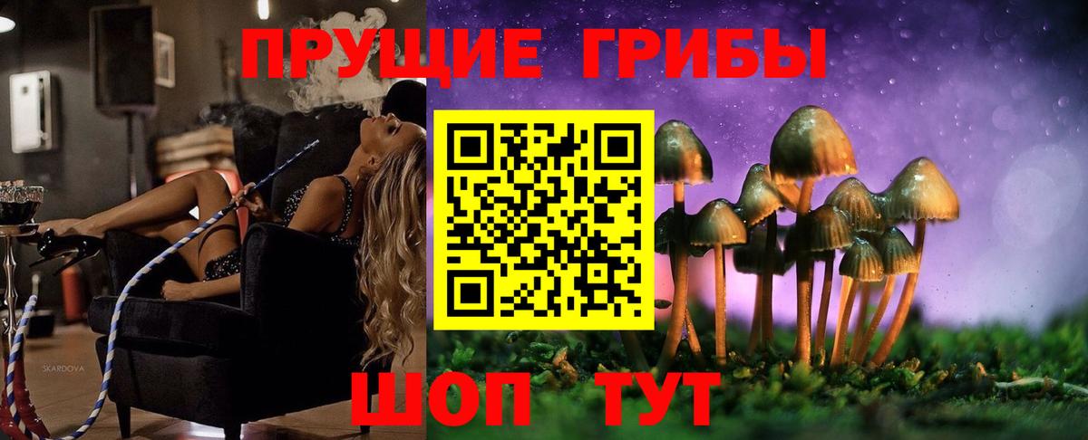 Псилоцибиновые грибы ЛСД Ухта